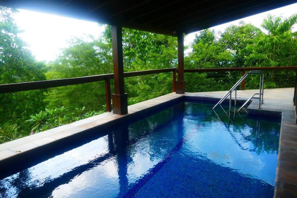 Divina Hacienda - Jungle Luxury With A Private Pool Villa San Ignacio Luaran gambar