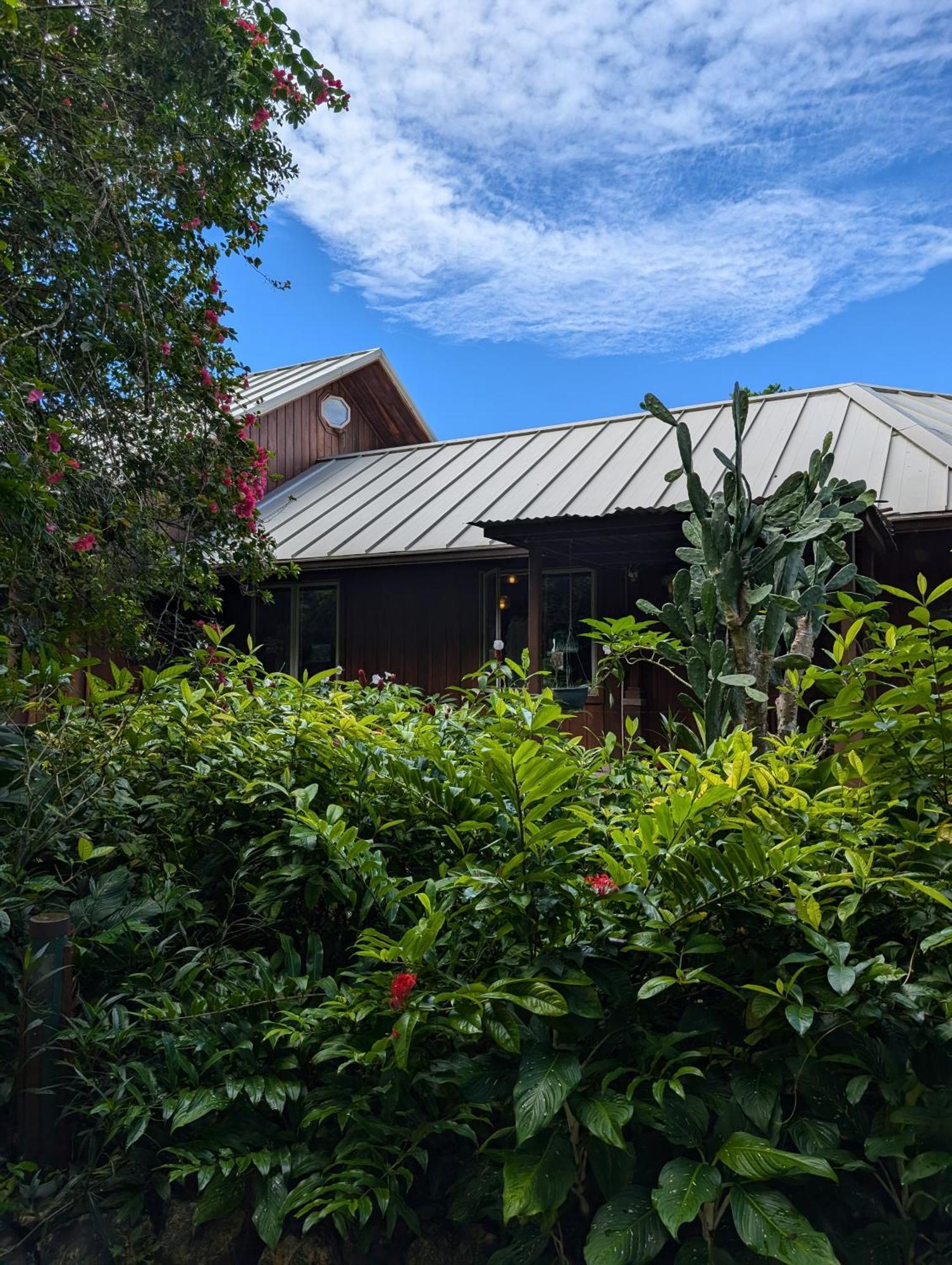 Divina Hacienda - Jungle Luxury With A Private Pool Villa San Ignacio Luaran gambar